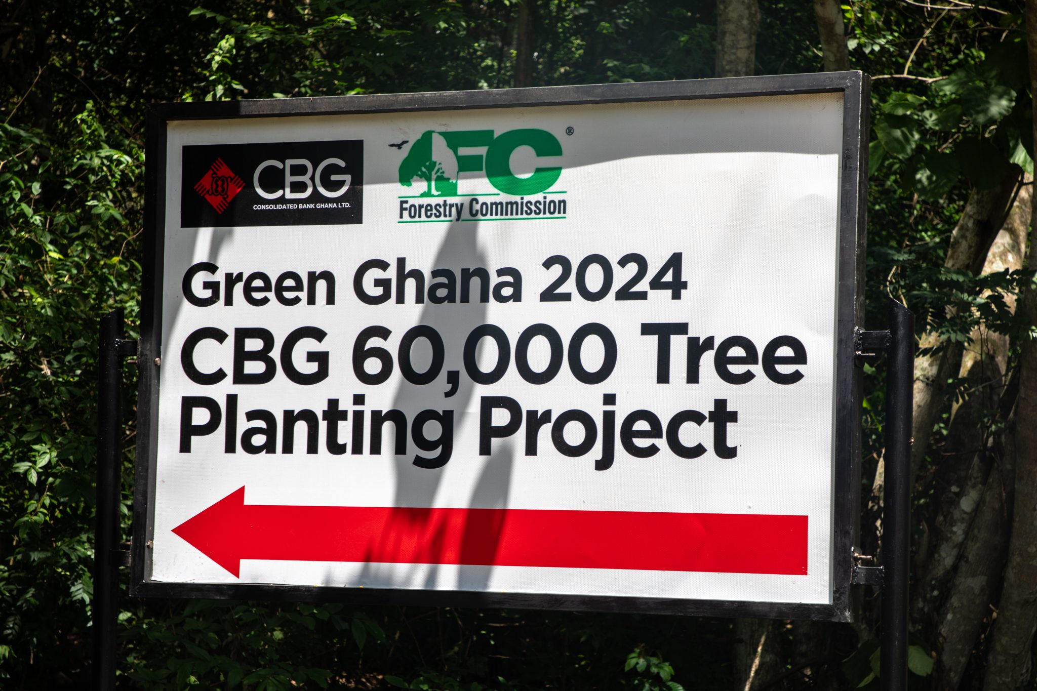 CBG Leads Tree Planting Exercise in Hwehwe Forest Reserve as Part of Green Ghana Campaign